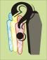 Preview: Das Mysterium der Mumien (Mummy Mystery)