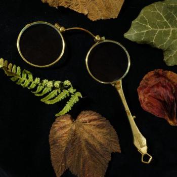 Die Lorgnette von Dorette - No. 12 - Hauchglas