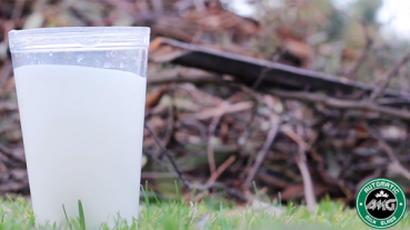 Automatic Milk Glass  by Aprendemagia  / Starbucks Milchglas (englisch)