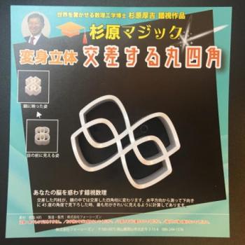 Mehrdeutige Objekte - Die runden Quadrate | Prof. Kokichi Sugihara