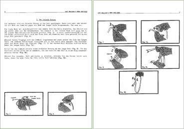 Preview: Swan Lake Rope (Jeff Sheridan) ...eine zauberhafte Seilroutine! (deutsch)