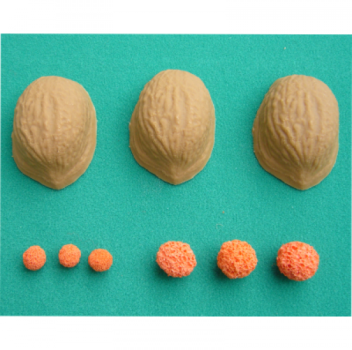 Bällchen für das Nussschalenspiel 15 mm (Nußschalenspiel, Nussschalen-Spiel, Shell Game)