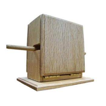 Preview: Kennard's Mystery Box by Daytona Magic - Ring auf Stab