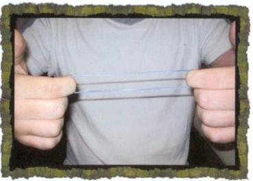 Preview: Animal Bands by Liam Montier and Big Blind Media - Trick