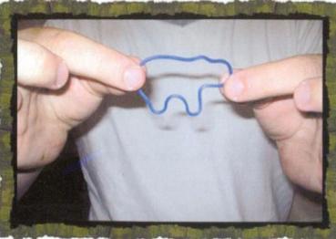 Preview: Animal Bands by Liam Montier and Big Blind Media - Trick