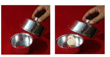 Chick Pan (Aluminum)  - die Taubenkasserolle im Miniaturformat