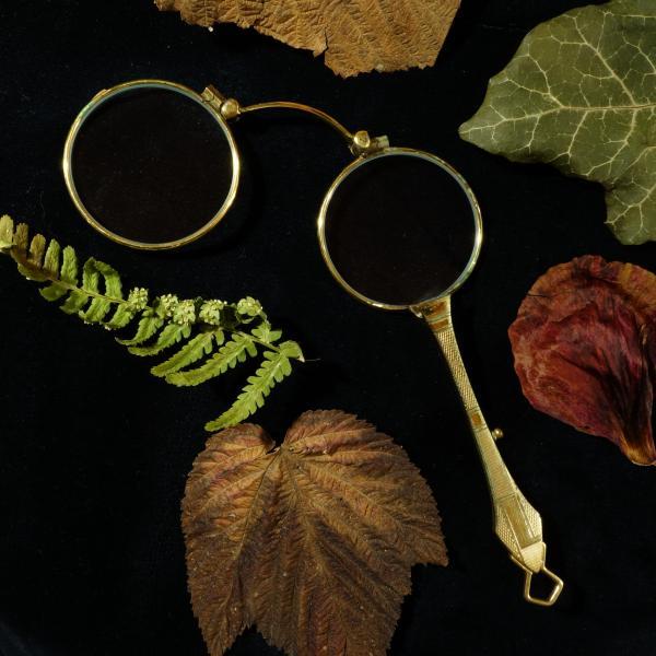 Die Lorgnette von Dorette - No. 12 - Hauchglas