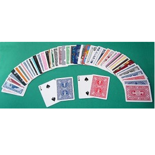 Spürnasen im Regenbogen-Kartenspiel