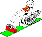 Klara - die Kartenente